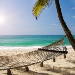 hammock on a tropical beach