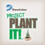 Project Plant It